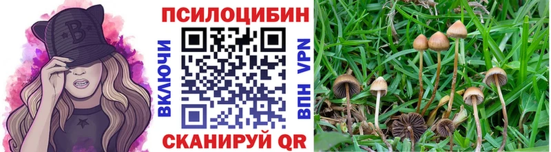 даркнет сайт  Арск  Псилоцибиновые грибы Magic Shrooms 